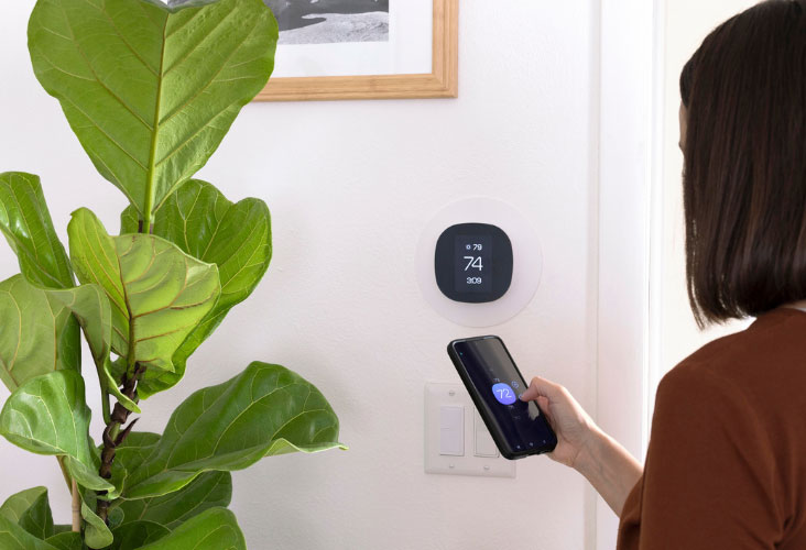 Thermostat on the wall next to a houseplant