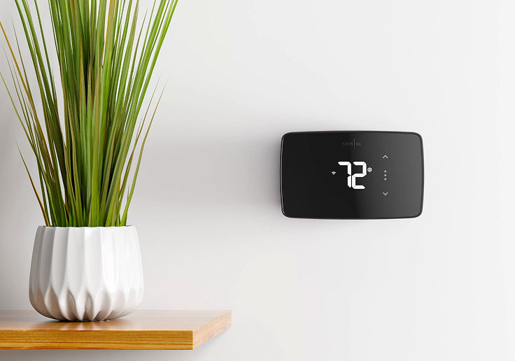 Thermostat on the wall next to a houseplant